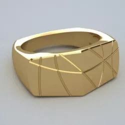 Rock n Roll RIng
