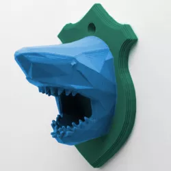 Shark Head