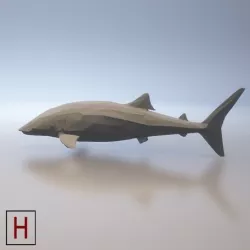 Shark - low poly