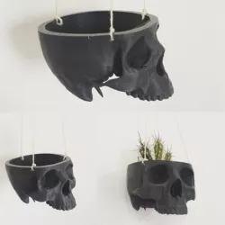 Skull Bowl Remix into Skull Hanging Planter / Pot