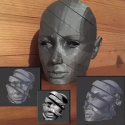 Sliced woman's head
