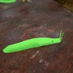 Slug