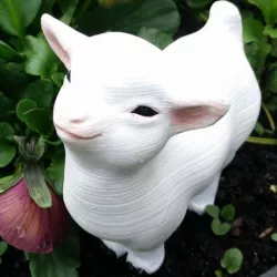 Smug goat
