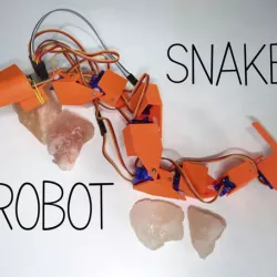 Snake robot