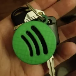 Spotify Keychains