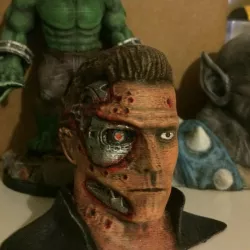 T-800 Damage Bust (28MB)