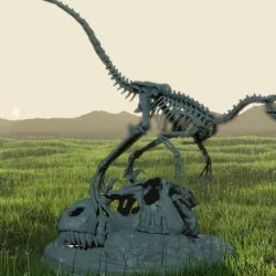 Velociraptor Skeleton Diorama with T-Rex Skull