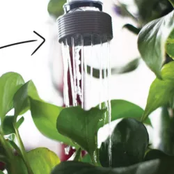 Watering Bottle