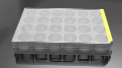 24 Well Plate