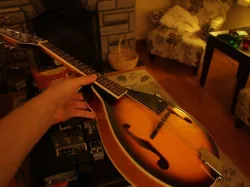 A 3D scanned mandolin