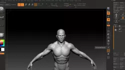 asian male 3D model