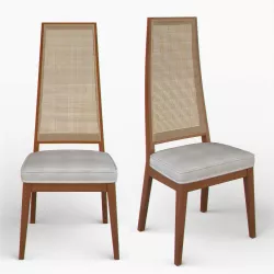 Cane-Backed Dining Chairs in the Style of Milo Baughman 3D model