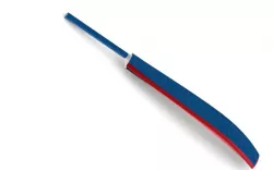 Cricket bat