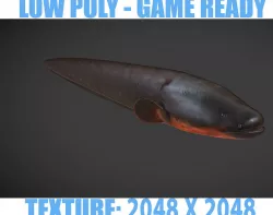 Electric Eel Low-poly  3D model
