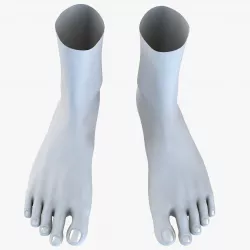 Feet Without Texture 3D model