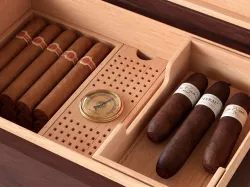 Humidor filled with cigars 3D model