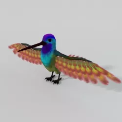 Hummingbird Low-poly  3D model