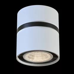 Lightstar 214810 FORTE MURO LED Low-poly  3D model