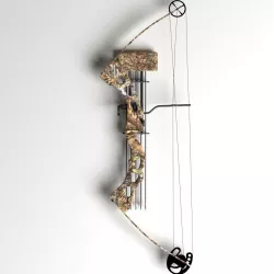 PL Compound Bow 3D model