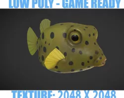 Puffer fish 01 Low-poly  3D model