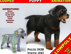 Puppy Rottweiler Low-poly  3D model
