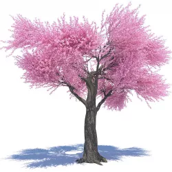Sakura 02 3D model