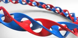 Self-Intersecting Bracelet