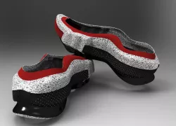SHOE