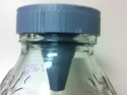 SnapTrap - Fruit fly trap for snapple bottles