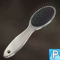 Standard hairbrush 3D model