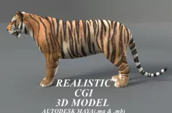 Tiger 3D model