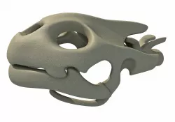 Tortoise  Skull Head 3D model
