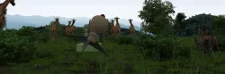 Zoo animals 3D model