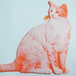 3d cat drawing