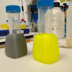 50 ml tube holder