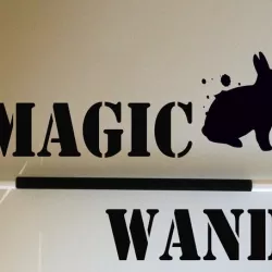 A Customized Magic Wand