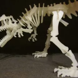 Allosaurus 3D Puzzle Construction Kit