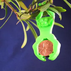 Bonsai Gibbon