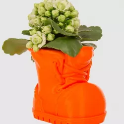 Boot Planter