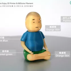 Buddha boy