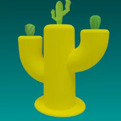 Cactus pot