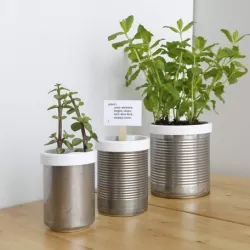 Campbell Planter - Fully 3D Printed Self-Watering Planter