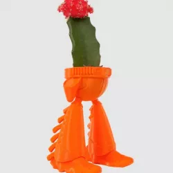 Cowboy Planter