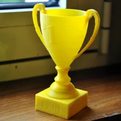 Customizable Mini Trophy