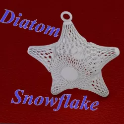 Diatom snowflake