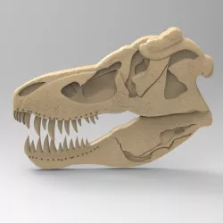 dragon skull