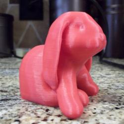 Ducky The Lop Eared Bunny Remix No Supports Needed 3D Models | Page 1 ...