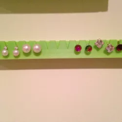 Earring holder