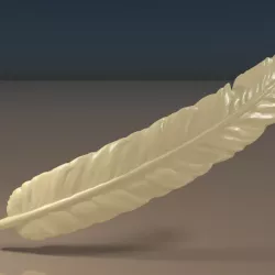 Feather