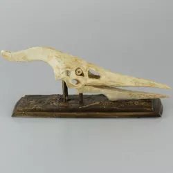 Flying Dinosaur Skull